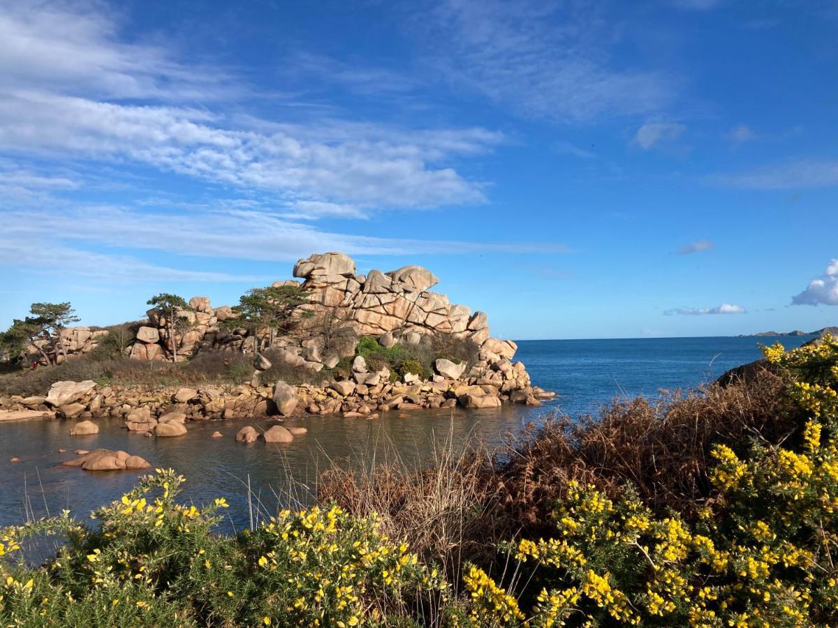 Les Hortensias A 50 M De La Plage De Trestraou Perros-Guirec Exteriér fotografie